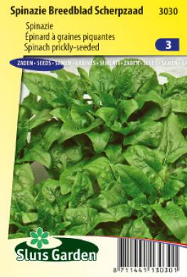 Spinach Prickly Seeded (Spinacia oleracea) 3500 seeds SL
